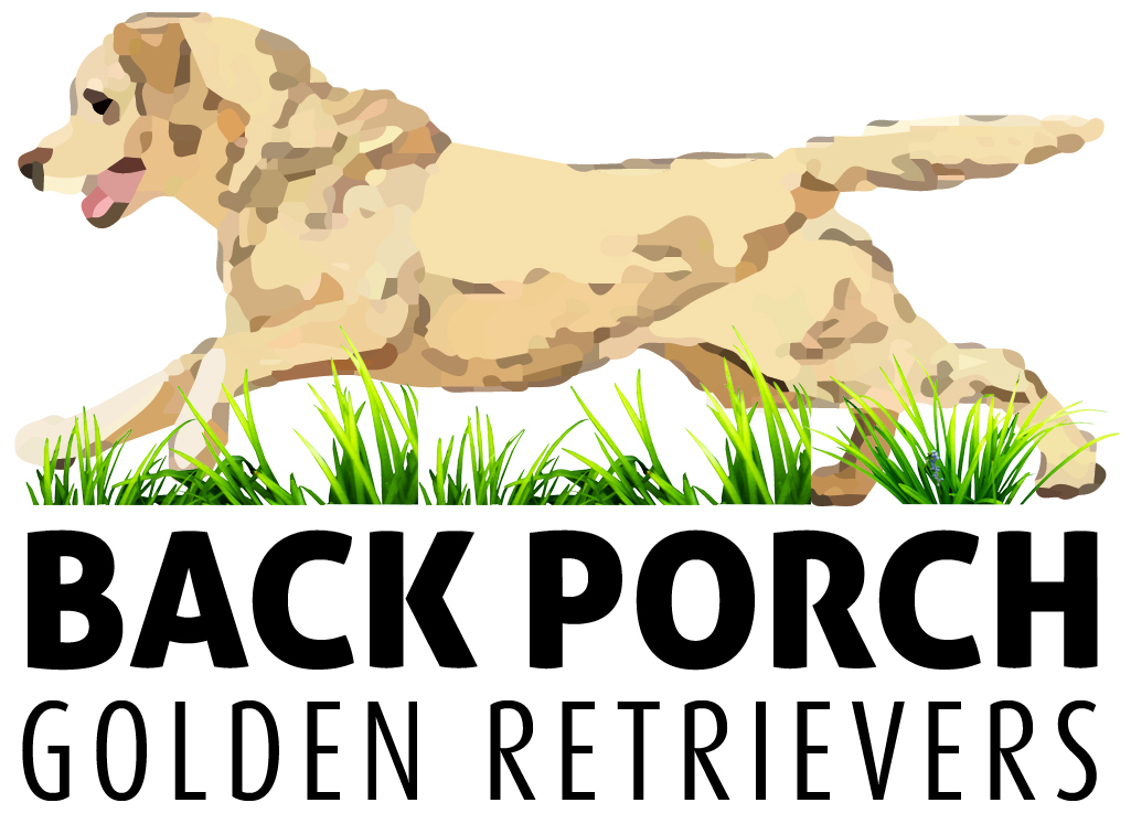 Back Porch Goldens